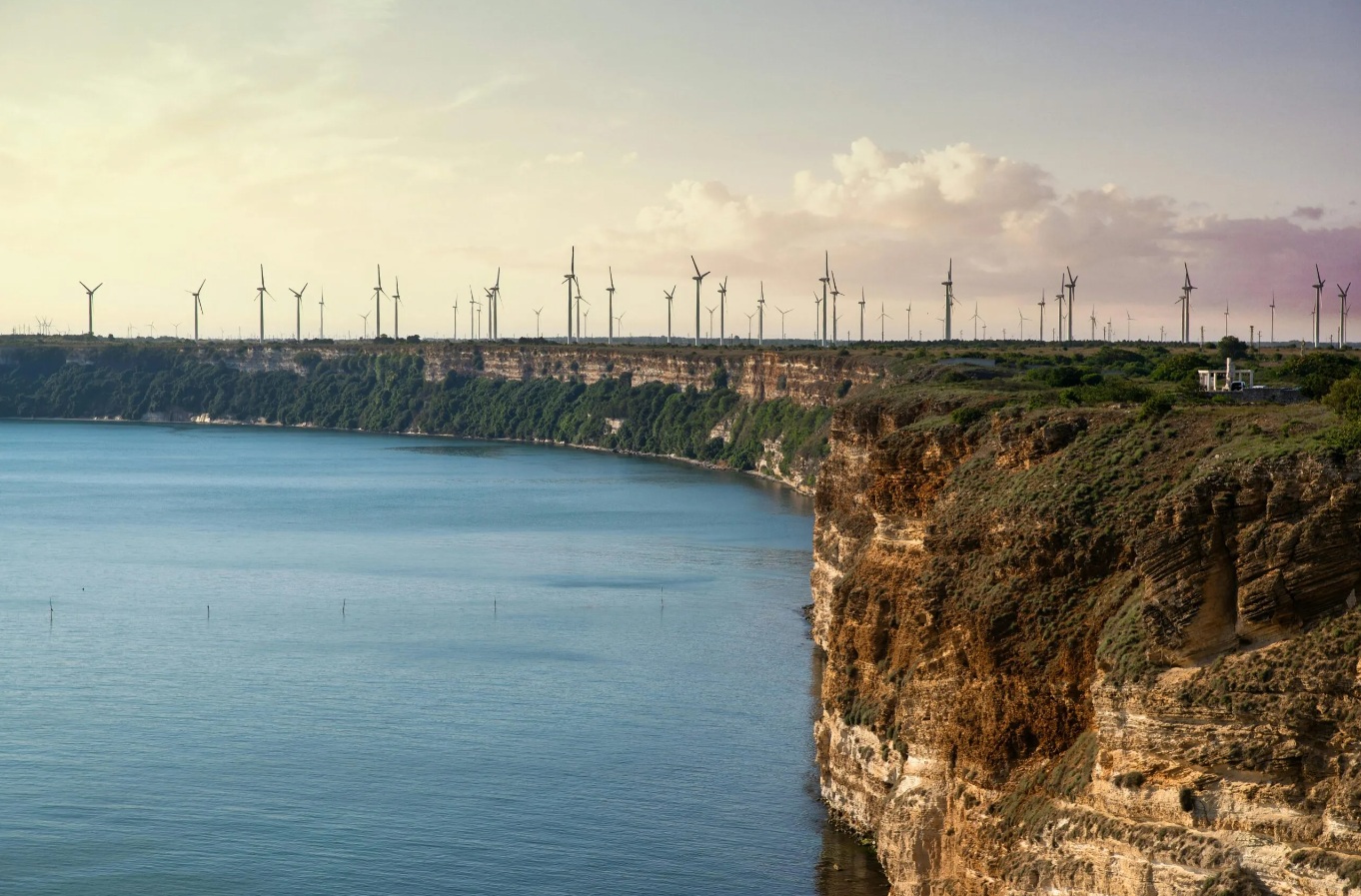 «Vanno semplificati gli iter»: Legambiente, Greenpeace e Wwf chiedono di riscrivere le norme per l’eolico